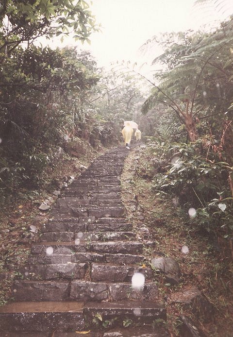 [台北貢寮]．新草嶺古道．風雨行（Tony的自然人文旅記第0032 ...