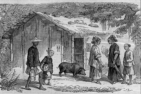 福爾摩沙小屋（年代：1859年）