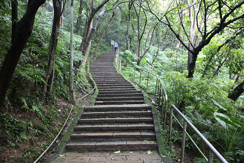 虎山自然步道，前往台北大縱走南一段。