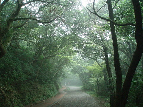 台北陽明山溫泉泡湯觀海首選！金山溫泉一帶享受頂級懷石料理+陽明山泡湯，陽明山溫泉推薦，頂級日式和洋主題的台北溫泉飯店－和昇攬月會館，享受絕對的二人甜密世界！